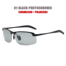 1pc Polarized Chameleon Sunglasses With Case For Fishing, Hiking, Camping (Color: Black Frame)
